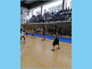 Volley.S3.Saronno.30.04.2023 (54).jpg